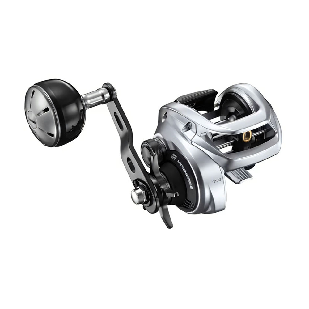 2026 SHIMANO TRANX 400 Baitcas - đánh giá và giá Daiwa Reel Bg
